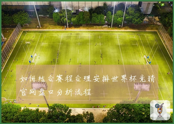 如何结合赛程合理安排世界杯竞猜官网盘口分析流程