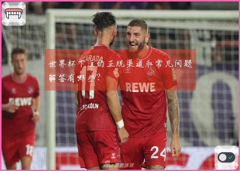 世界杯下注的正规渠道和常见问题解答有哪些?