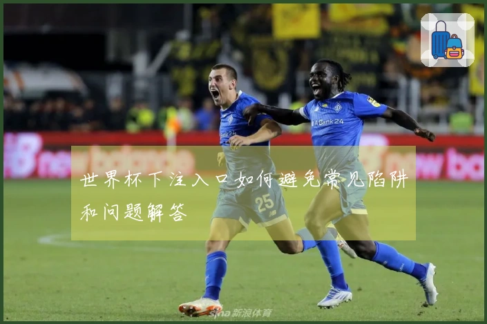 世界杯下注入口如何避免常见陷阱和问题解答