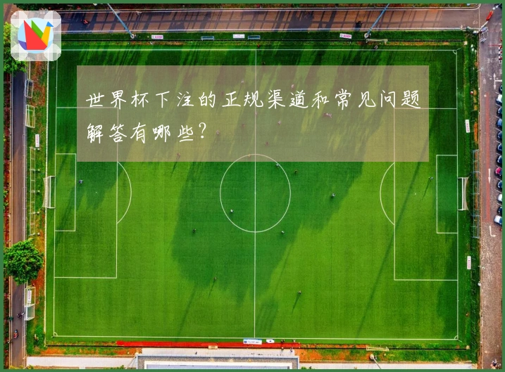 世界杯下注的正规渠道和常见问题解答有哪些？