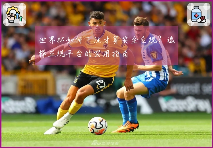 世界杯如何下注才算安全合规？选择正规平台的实用指南